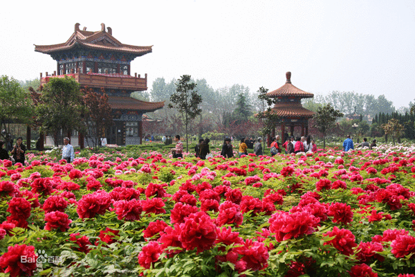 洛阳市中国国花园