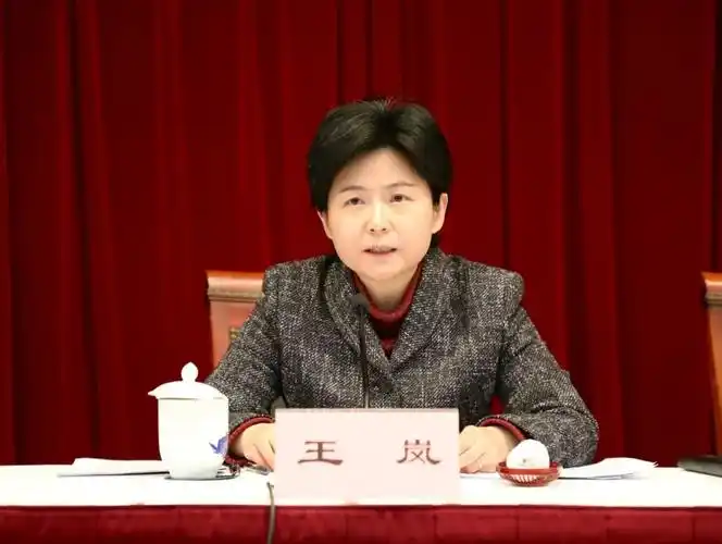 区委副书记,区长,区安委会主任王岚,区委常委,副区长钟晓敏,岑福康,副