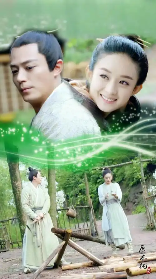 霍建华 赵丽颖 画骨系