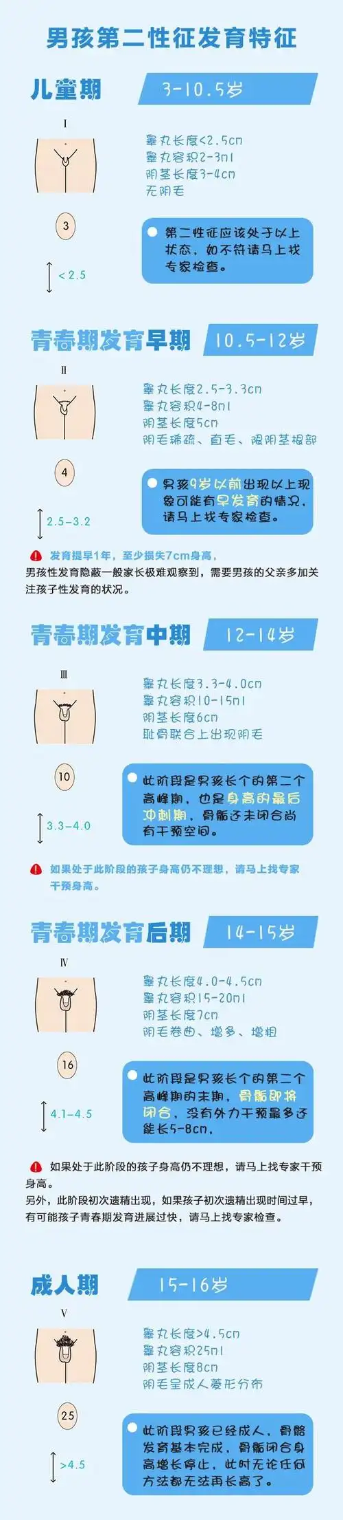 青春期发育后还能长高吗关于青春期和长高那些事你需要尽早了解这些