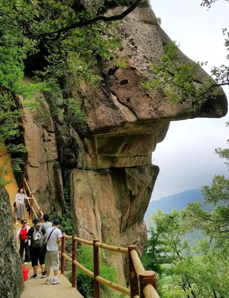 通天河国家森林公园.通天河国家森林公园位于陕西省宝鸡市西南部 - 抖