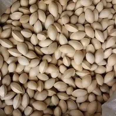 很赞的银杏种子