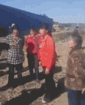 大妈打架互相踢人表情包gif