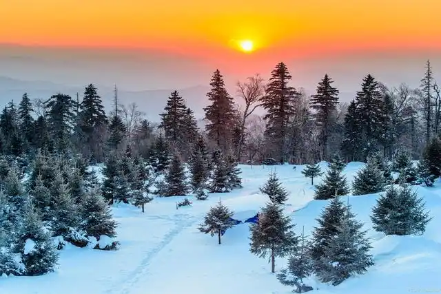 长白山有"千年雪千年松,直上人间第一峰"的美誉,堪称"东北屋脊".