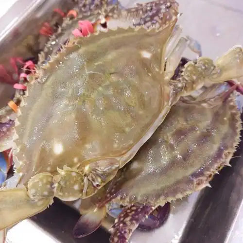 王潮活海鲜自助