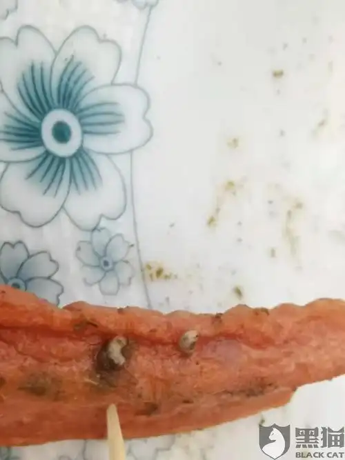 双汇火腿肠吃到两条蛆