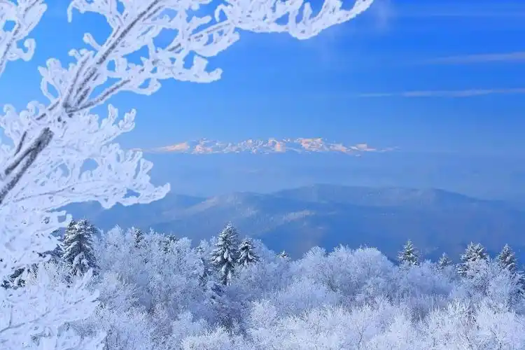 江浙沪门票半价!赶紧来长白山看雪!