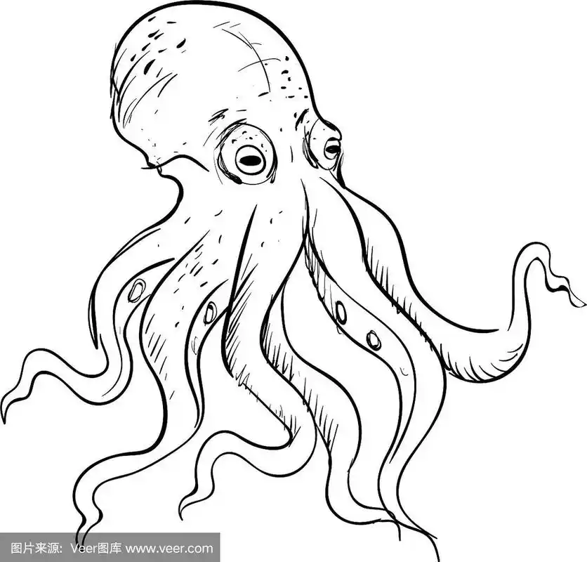 章鱼画在白色的背景