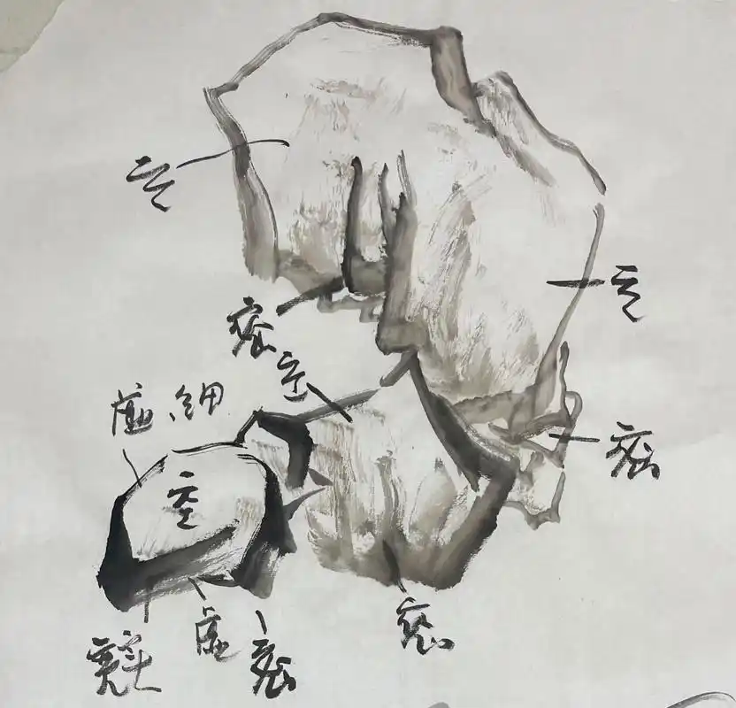 几块不同形态的石头,抛砖引玉.#国画教程 #跟我一起学画画 - 抖音