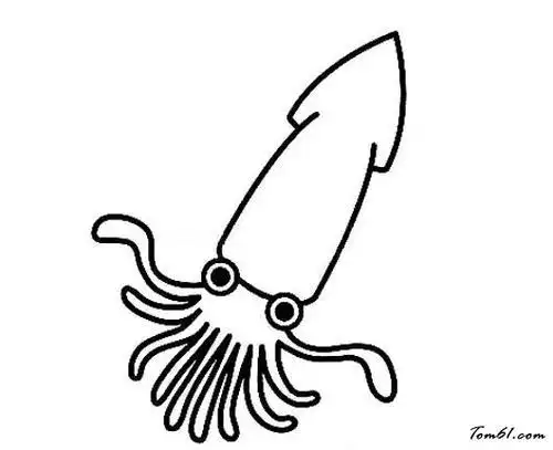 鱿鱼的简笔画可爱
