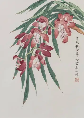 分享几张花鸟工笔画作品看看有没有你画的好