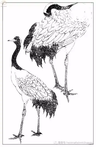 4.19孙其峰《百鸟白描谱》之一