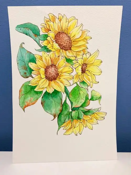 钢笔淡彩向日葵